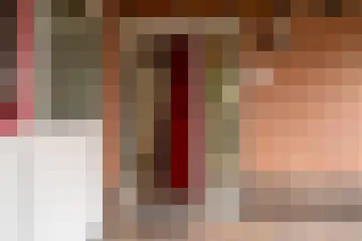 Roodwilligen 87 Zevenaar thumbnail 4