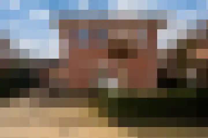Roodwilligen 87 Zevenaar thumbnail 50