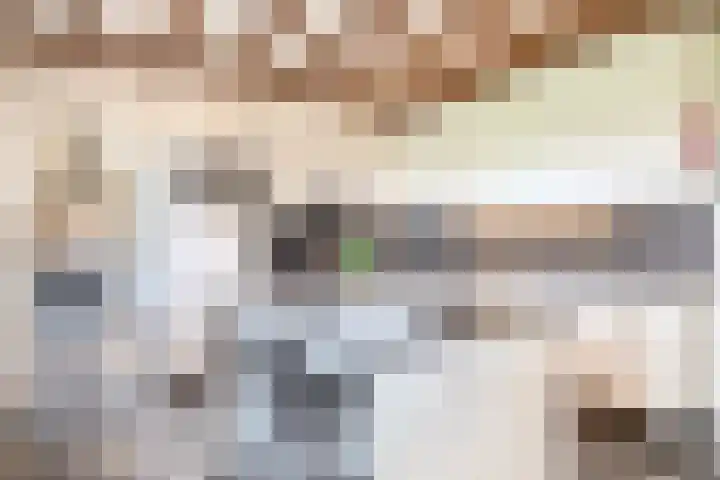 Rooije-Aschweg 16 Gemert thumbnail 16