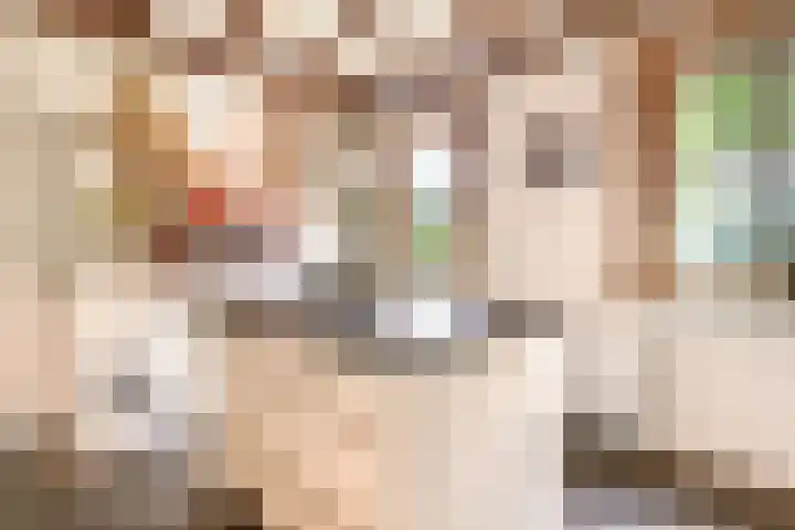 Rooije-Aschweg 16 Gemert thumbnail 18