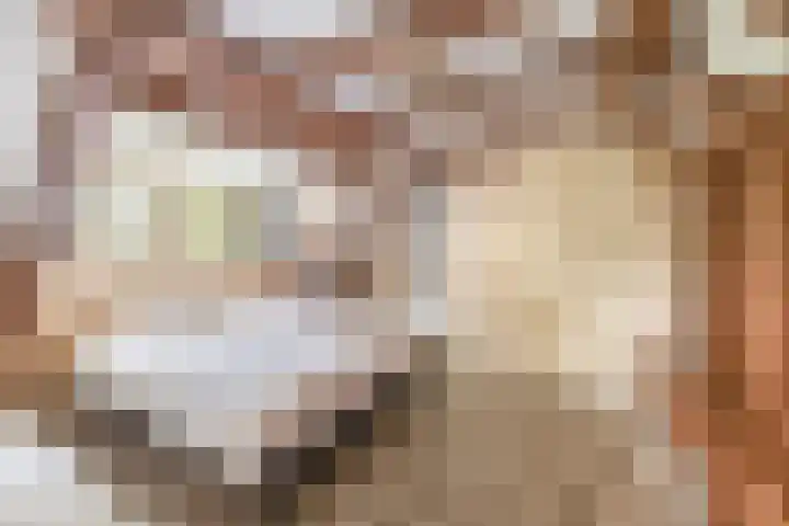 Rooije-Aschweg 16 Gemert thumbnail 22