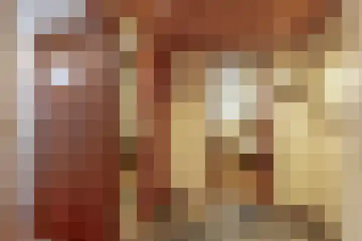 Rooije-Aschweg 16 Gemert thumbnail 30