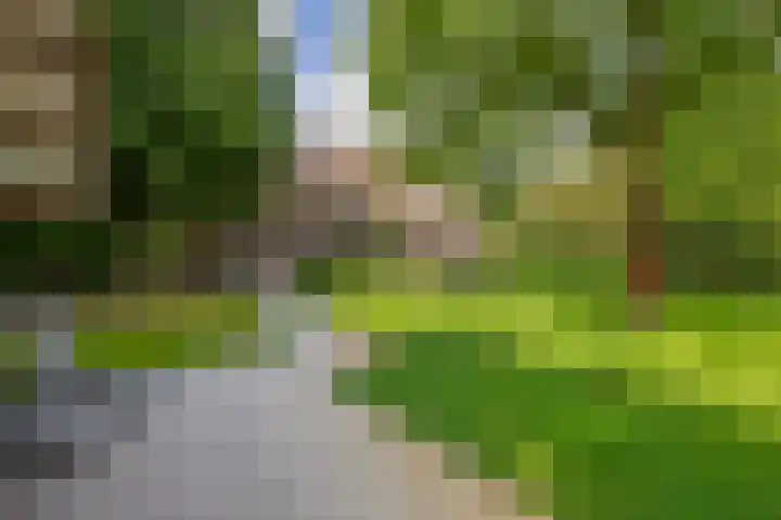 Rooije-Aschweg 16 Gemert thumbnail 34
