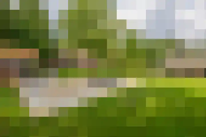 Rooije-Aschweg 16 Gemert thumbnail 36