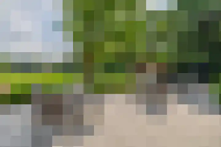 Rooije-Aschweg 16 Gemert thumbnail 37