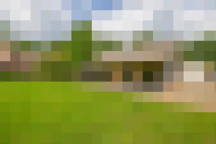 Rooije-Aschweg 16 Gemert thumbnail 4