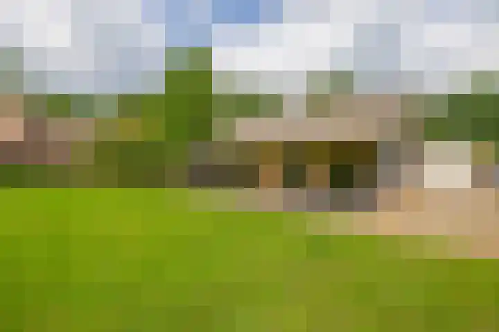 Rooije-Aschweg 16 Gemert thumbnail 42