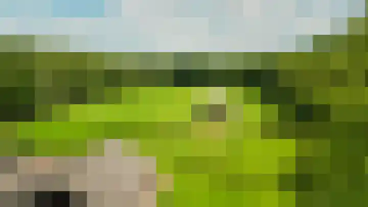 Rooije-Aschweg 16 Gemert thumbnail 45