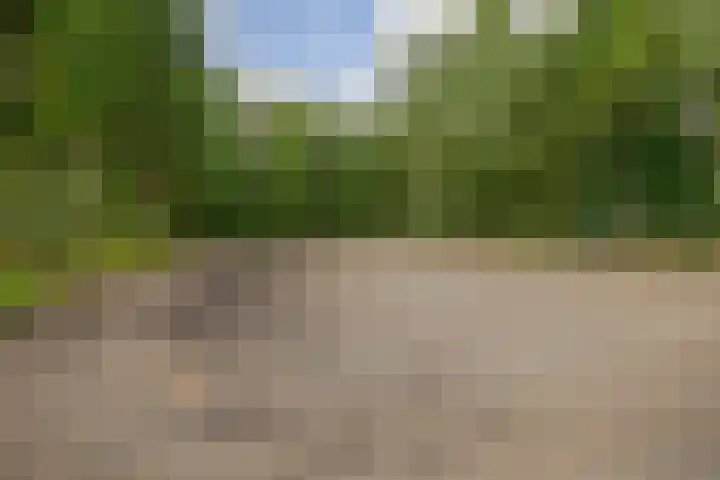 Rooije-Aschweg 16 Gemert thumbnail 47