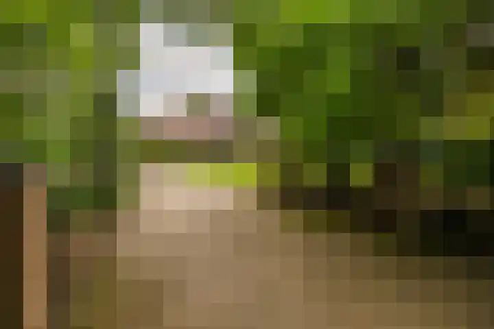 Rooije-Aschweg 16 Gemert thumbnail 48