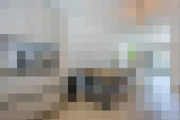 Rooijsestraat 39 Uden thumbnail 17