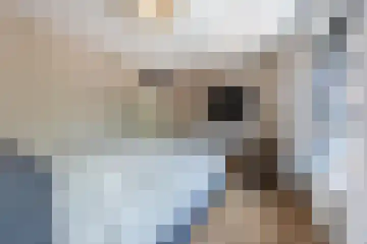 Rooijsestraat 39 Uden thumbnail 25