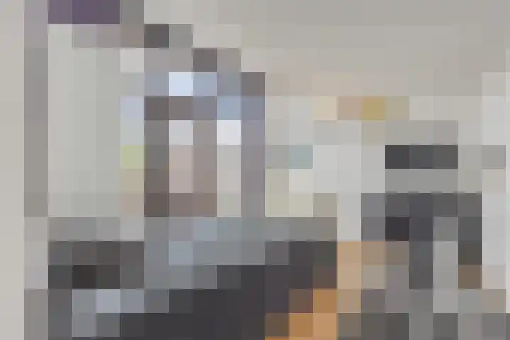 Rooijsestraat 39 Uden thumbnail 37