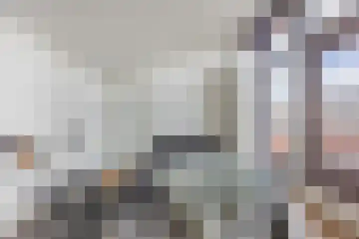 Rooijsestraat 39 Uden thumbnail 38