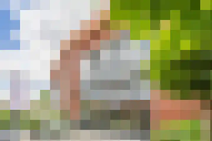 Rooijsestraat 39 Uden thumbnail 49
