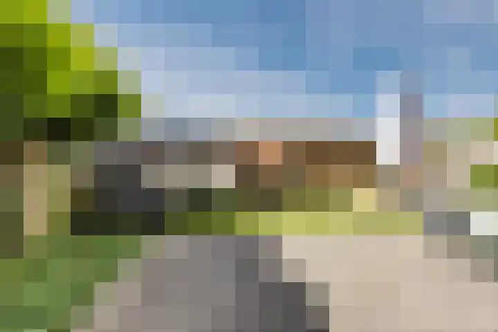 Rooijsestraat 39 Uden thumbnail 50