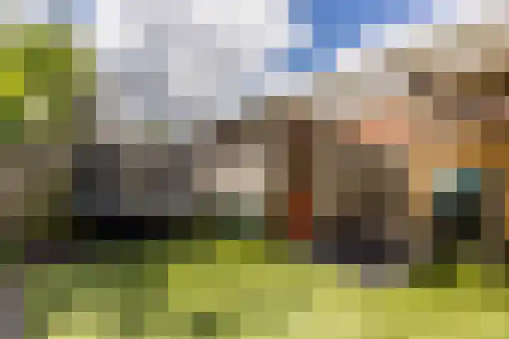 Rooijsestraat 39 Uden thumbnail 52