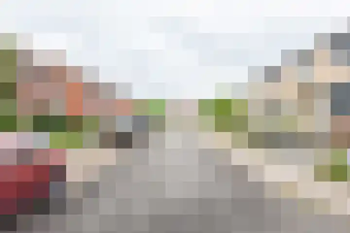 Roomberg 66 Silvolde thumbnail 38