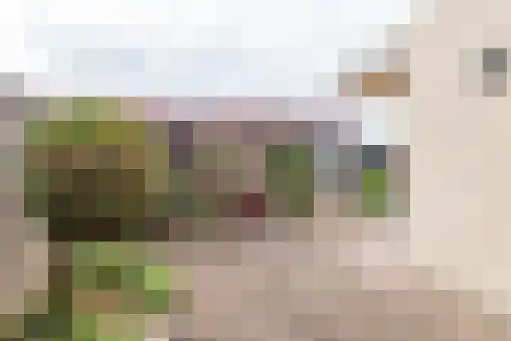 Roomberg 66 Silvolde thumbnail 4