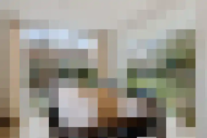 Roompot 23 Eindhoven thumbnail 13
