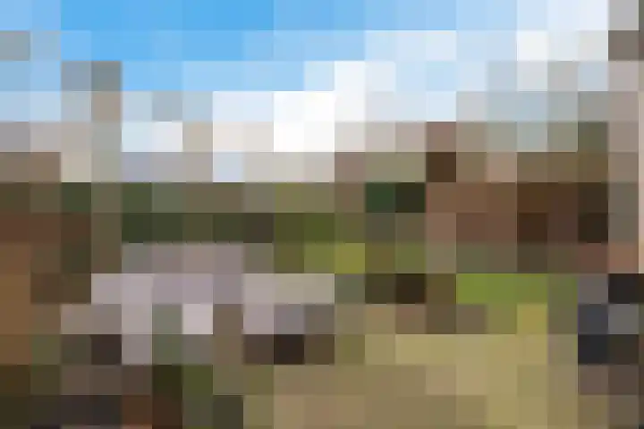 Roompot 23 Eindhoven thumbnail 31