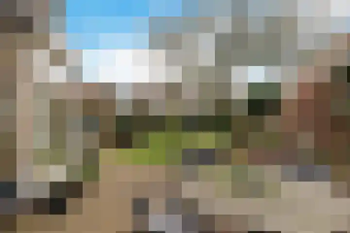 Roompot 23 Eindhoven thumbnail 32