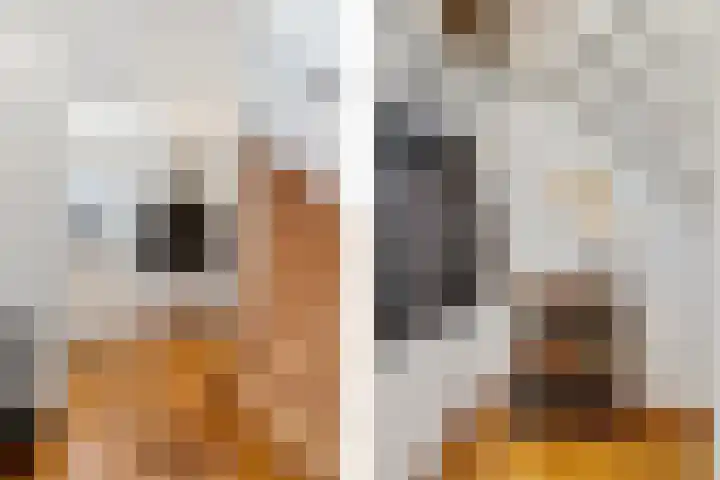 Roompot 23 Eindhoven thumbnail 7