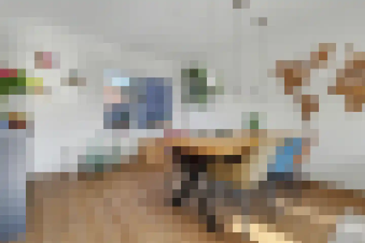 Roompot 25 B Hansweert thumbnail 10