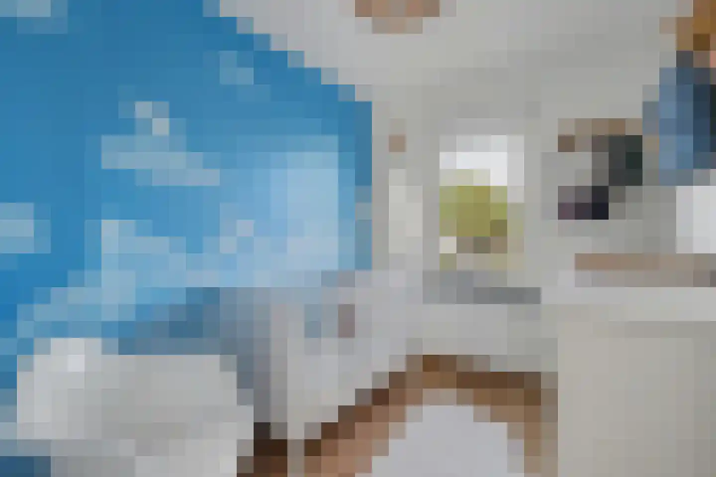 Roompot 25 B Hansweert thumbnail 21