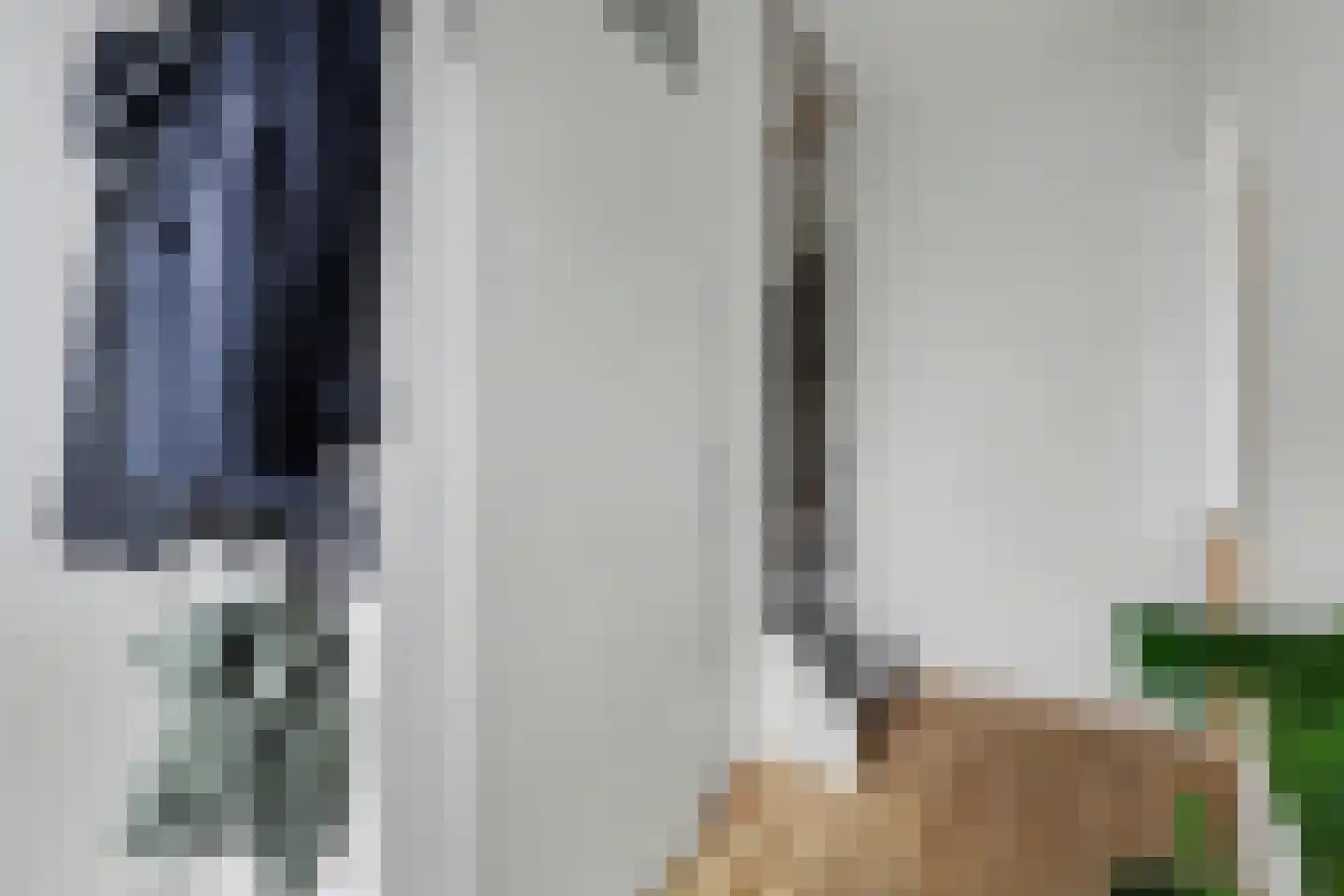 Roompot 25 B Hansweert thumbnail 4