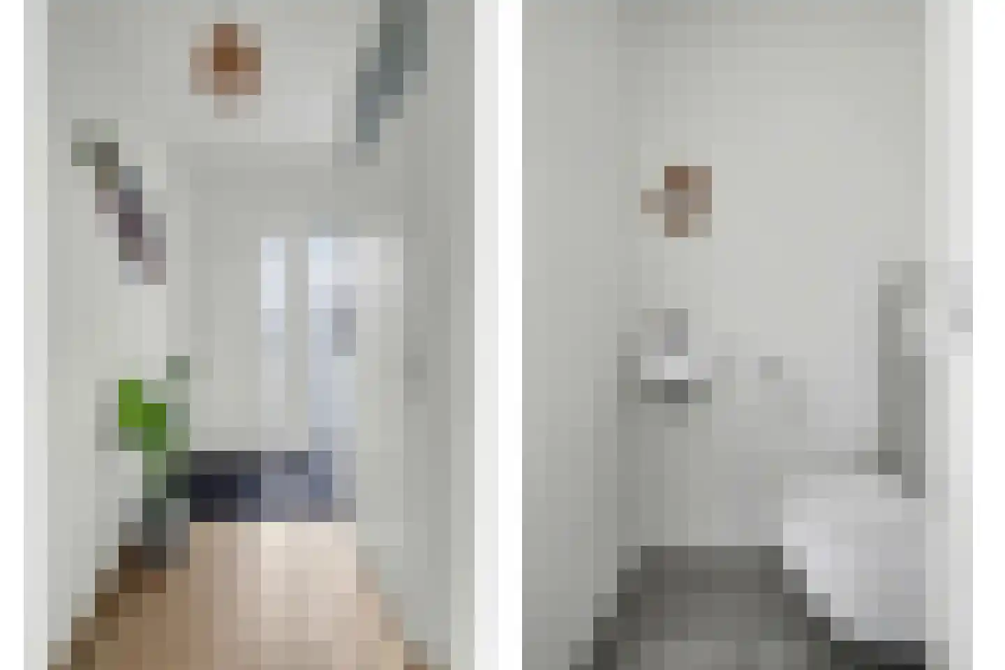 Roompot 25 B Hansweert thumbnail 5