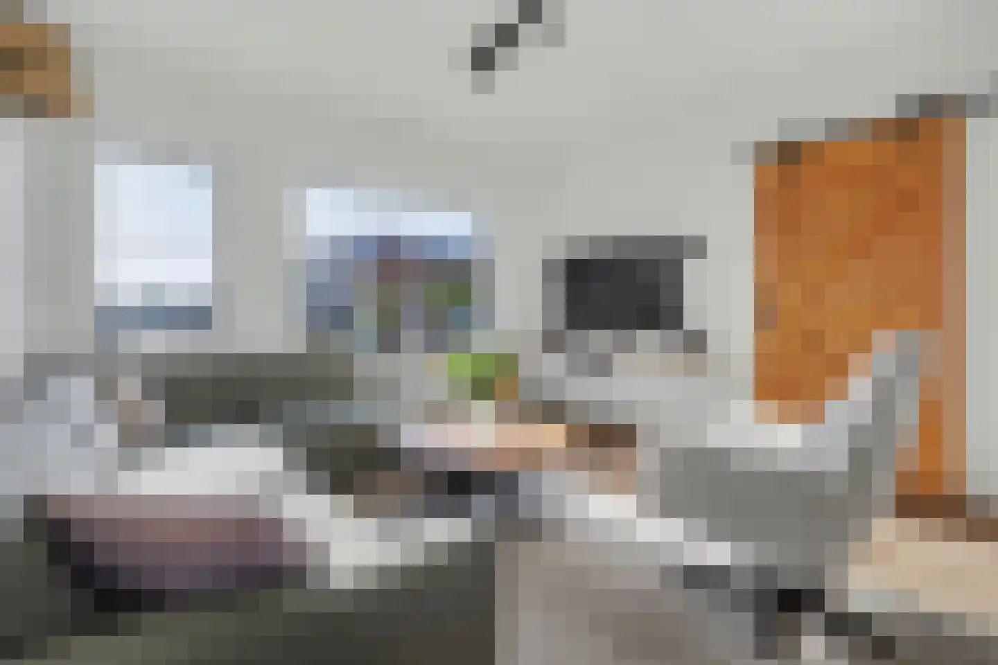 Roompot 25 B Hansweert thumbnail 8