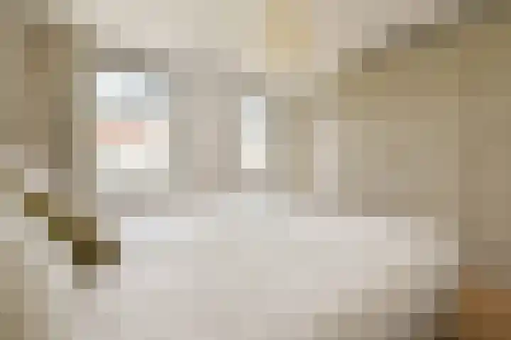 Roompotstraat 8 2 Amsterdam thumbnail 16