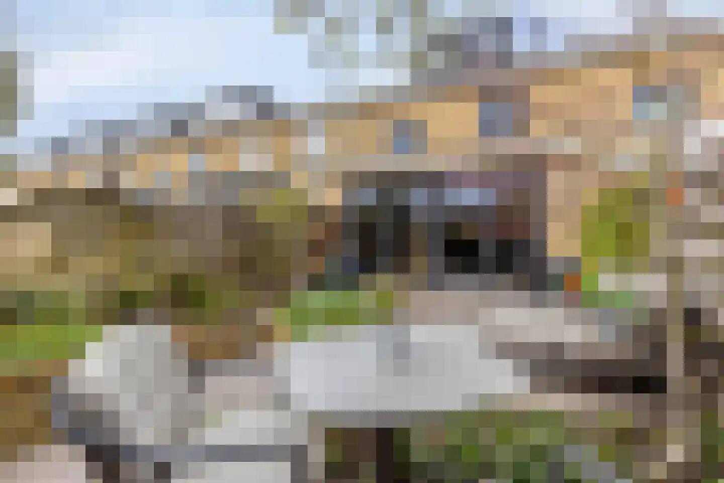 Roosduinen 123 Hoofddorp thumbnail 45