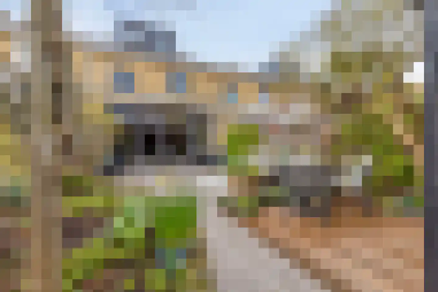 Roosduinen 123 Hoofddorp thumbnail 46