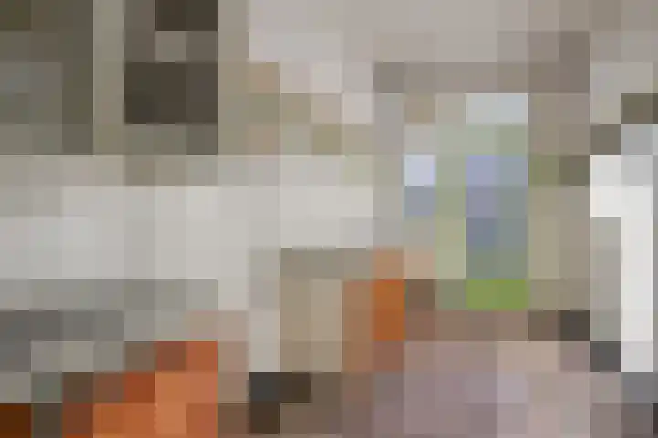 Rooseveltlaan 123 Amsterdam thumbnail 13