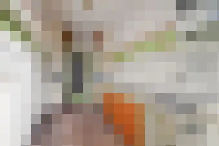 Rooseveltlaan 123 Amsterdam thumbnail 14