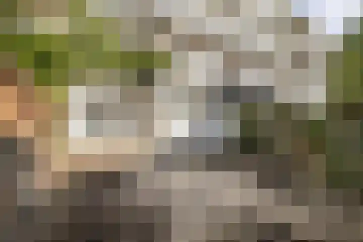 Rooseveltlaan 123 Amsterdam thumbnail 22