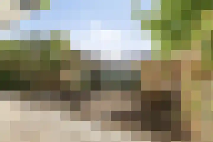 Rooseveltlaan 123 Amsterdam thumbnail 24