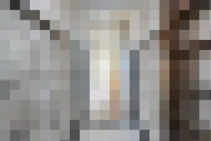 Rooseveltlaan 123 Amsterdam thumbnail 5
