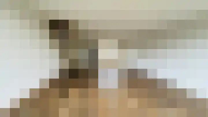 Rooseveltlaan 65 Delft thumbnail 4