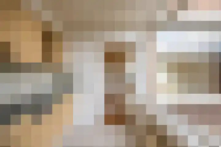 Rooseveltstraat 13 Venray thumbnail 12