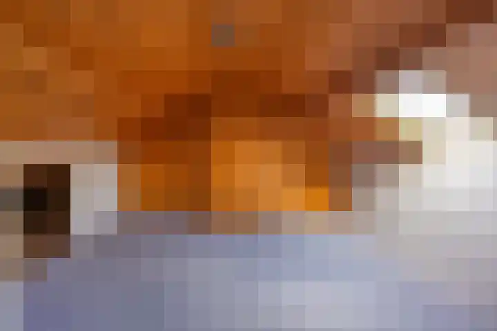 Rooseveltstraat 13 Venray thumbnail 24