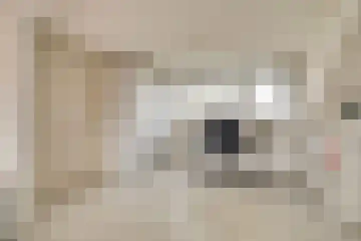 Rooseveltstraat 54 Drunen thumbnail 35