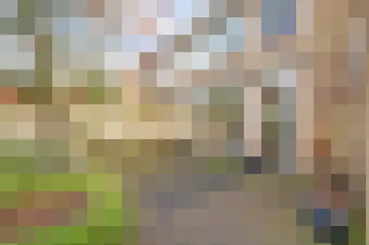 Rooseveltstraat 54 Drunen thumbnail 40
