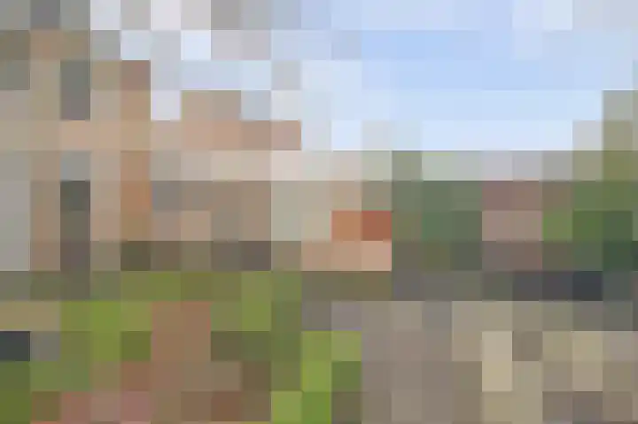 Rooseveltstraat 54 Drunen thumbnail 41