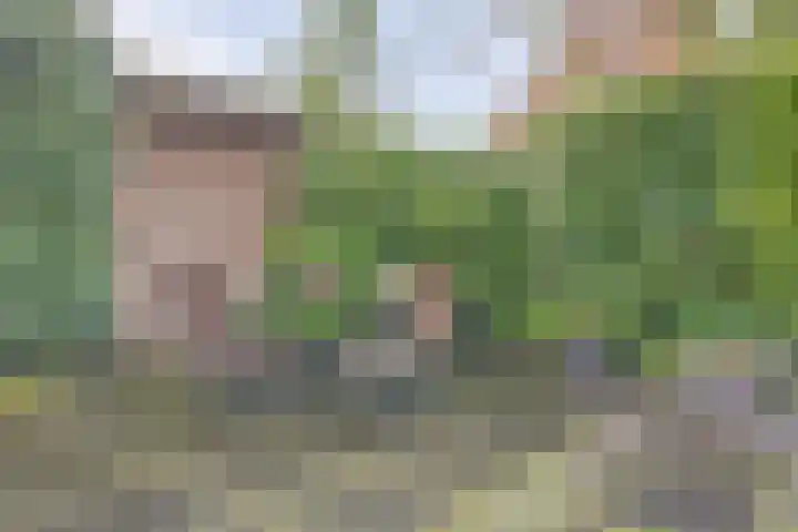 Rooseveltstraat 54 Drunen thumbnail 44