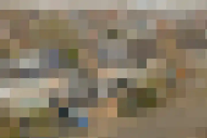 Rooseveltstraat 54 Drunen thumbnail 46