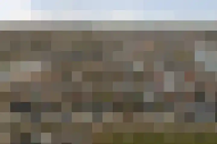 Rooseveltstraat 54 Drunen thumbnail 51
