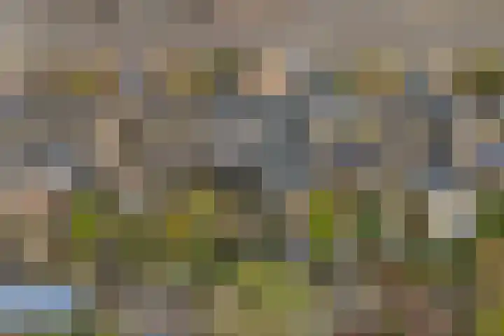Rooseveltstraat 54 Drunen thumbnail 53